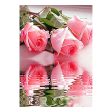 Maxbell 5D DIY Diamond Painting Kit Cross Stitch Pictures for Home Decor Flower 2 Hot on Sale